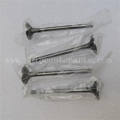 490B-03015 Valv ta 'l-exhaust Għal XINCHAI C490BPG Magna HELI